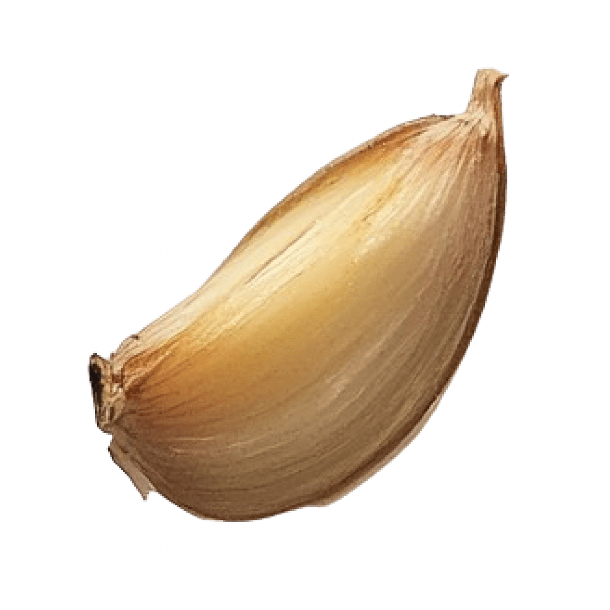 garlic_3