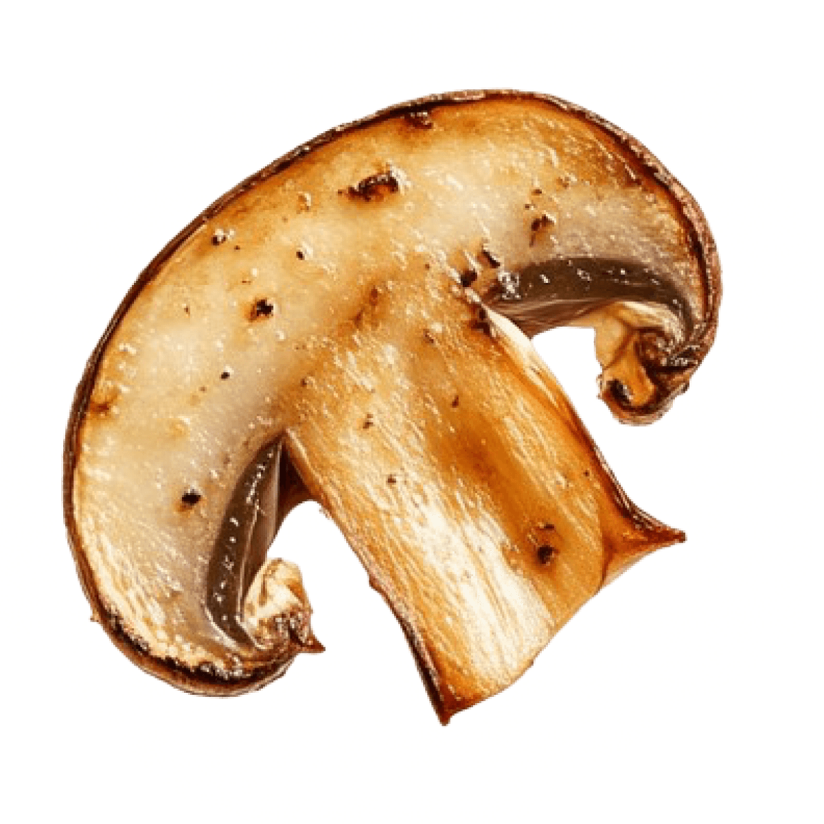 mushroom_4